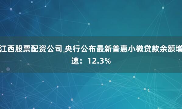 江西股票配资公司 央行公布最新普惠小微贷款余额增速：12.3%